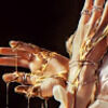 insicily